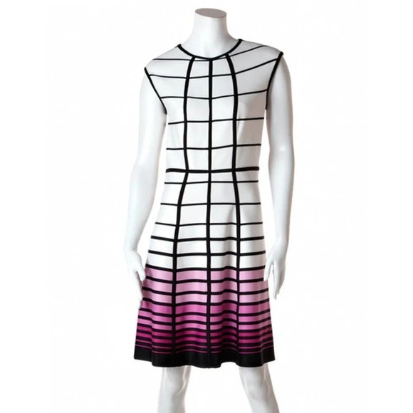 Sandra Darren Women's Pink Ombre Windowpane Fit & Flare Dress Size 10 - Picture 1 of 10